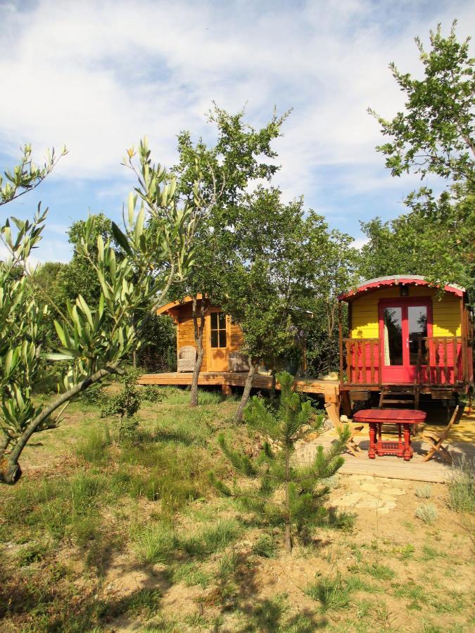 Le Mas Du Fort Gargas  Ngoại thất bức ảnh
