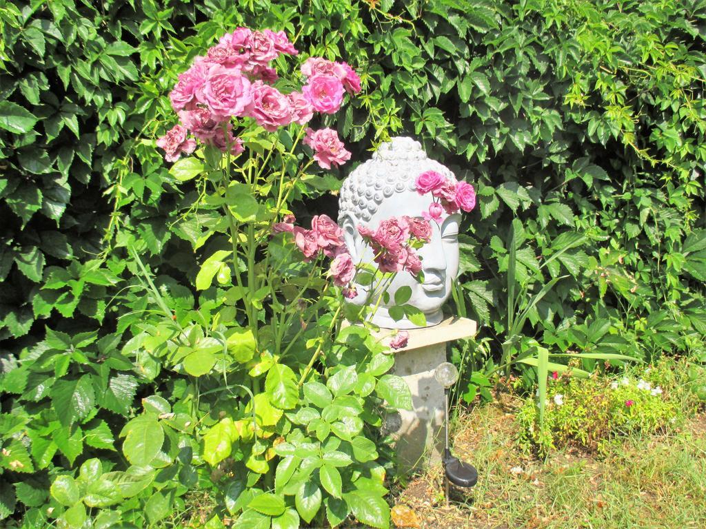 Le Mas Du Fort Gargas  Ngoại thất bức ảnh